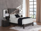 Fraluna Queen Panel Bed, Dresser, Mirror, Chest and Nightstand