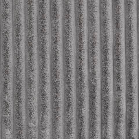 A1001081T